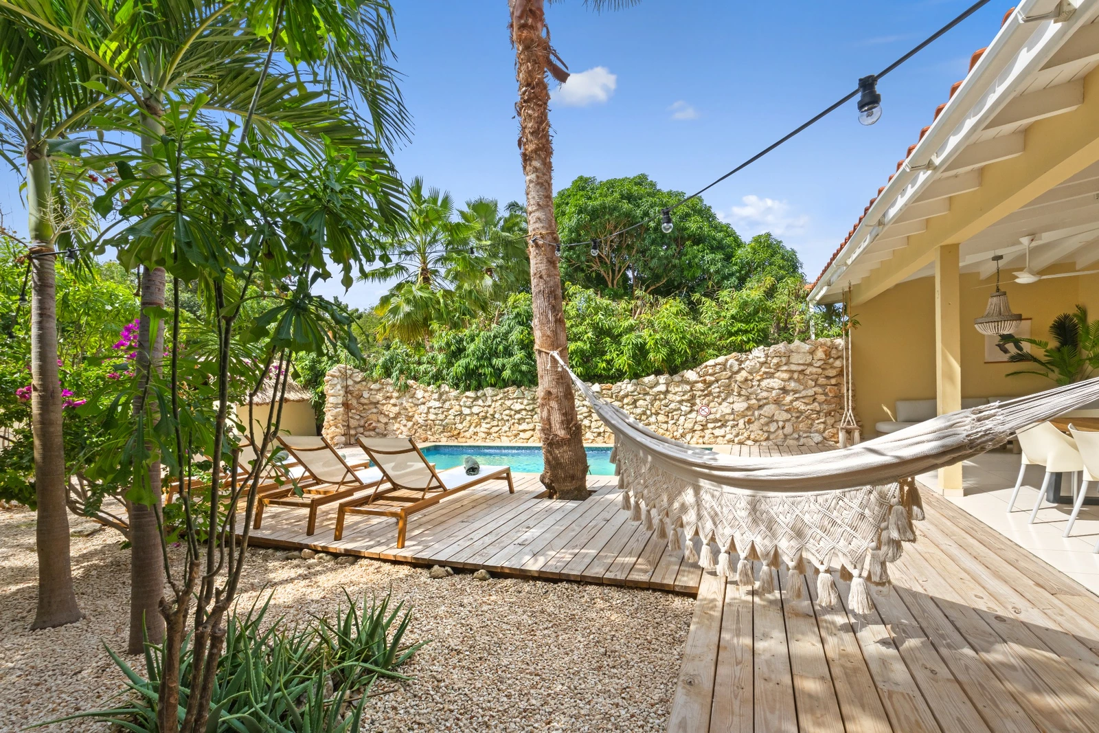 Hammock and tropical pool garden